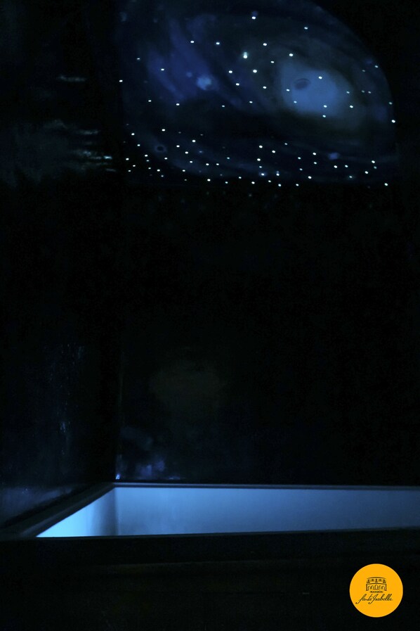 Un interior oscuro con una superficie reflectante y un techo con luces pequeñas.