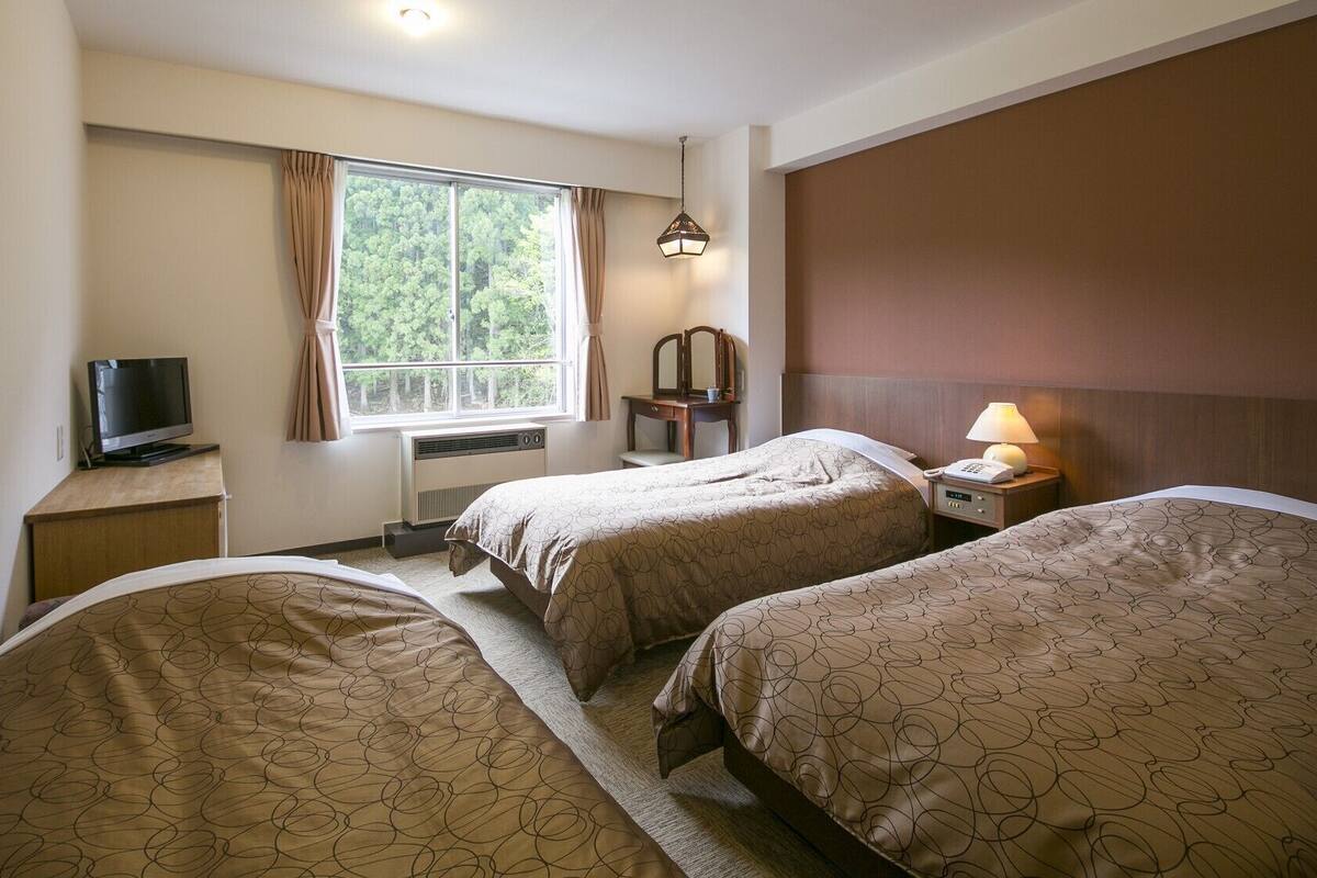 Habitación de hotel con dos camas, televisión, escritorio, ventana con cortinas, espejo y lámpara de noche.