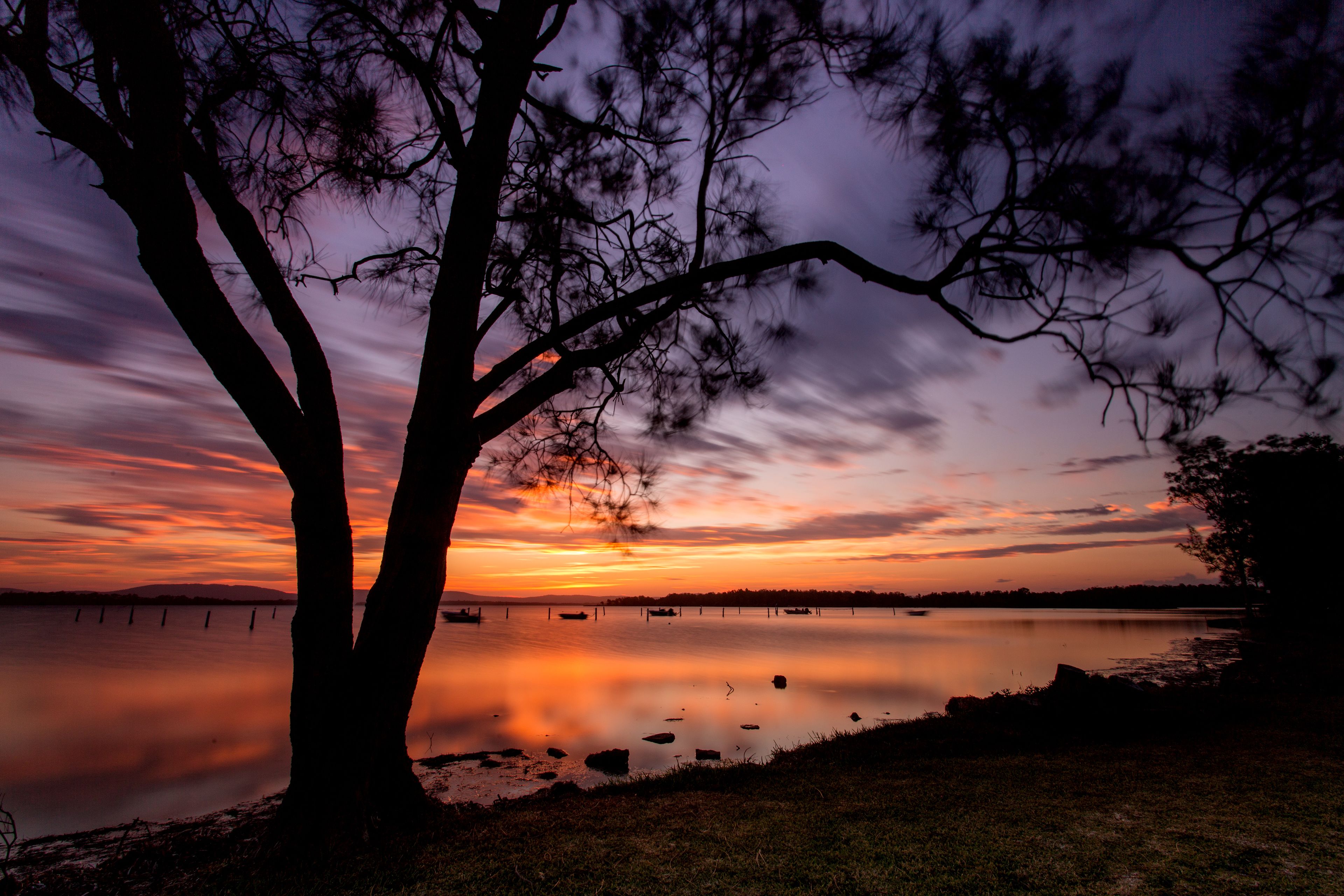 A serene lakeside view at sunset with a prominent tree in the foreground.
