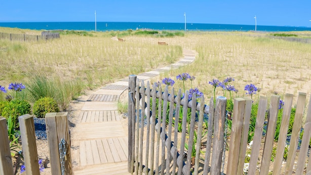 Un muelle de madera que lleva a una playa, con una valla de madera y flores azules.