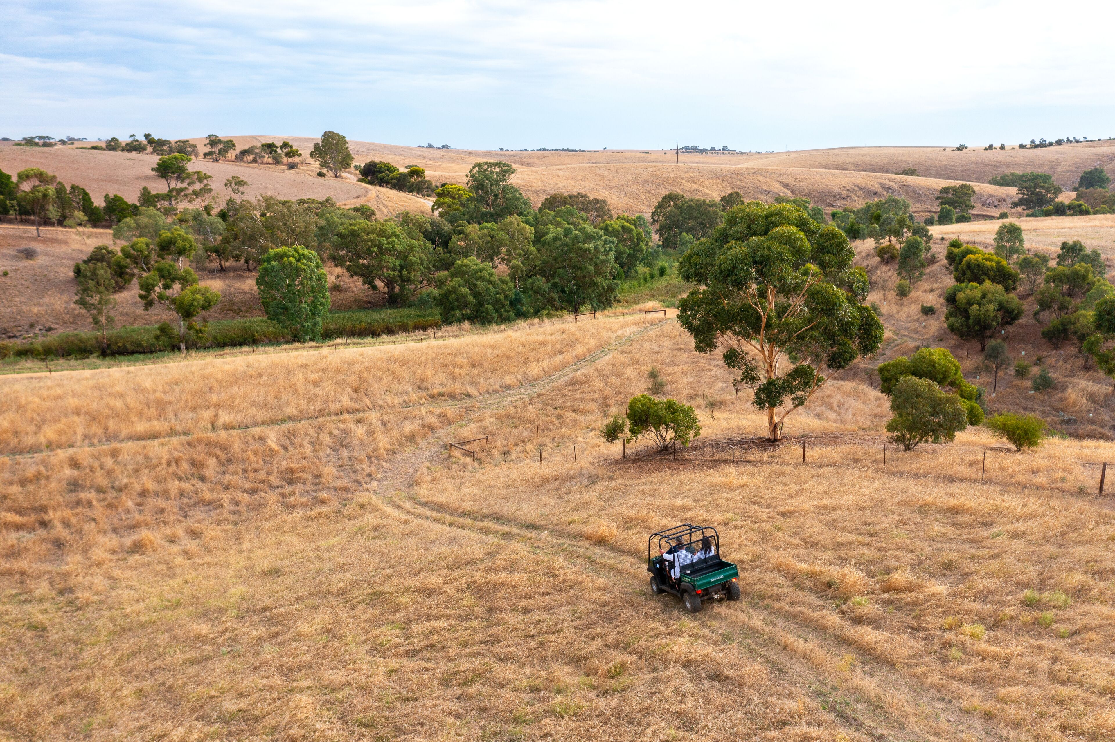 A rural landscape with a green vehicle on a dirt path, surrounded by dry grass fields and scattered trees.