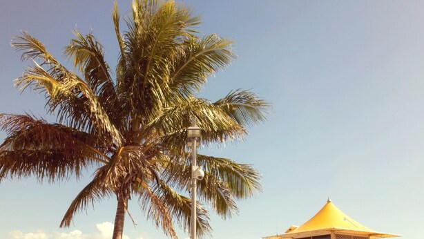A lifeguard tower, a palm tree, and a lifeguard vehicle on a beach. - La Costa Motel (Bilinga)