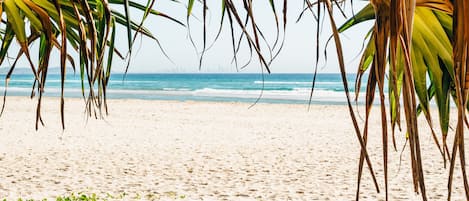 在海灘附近、沙灘巾、浮潛