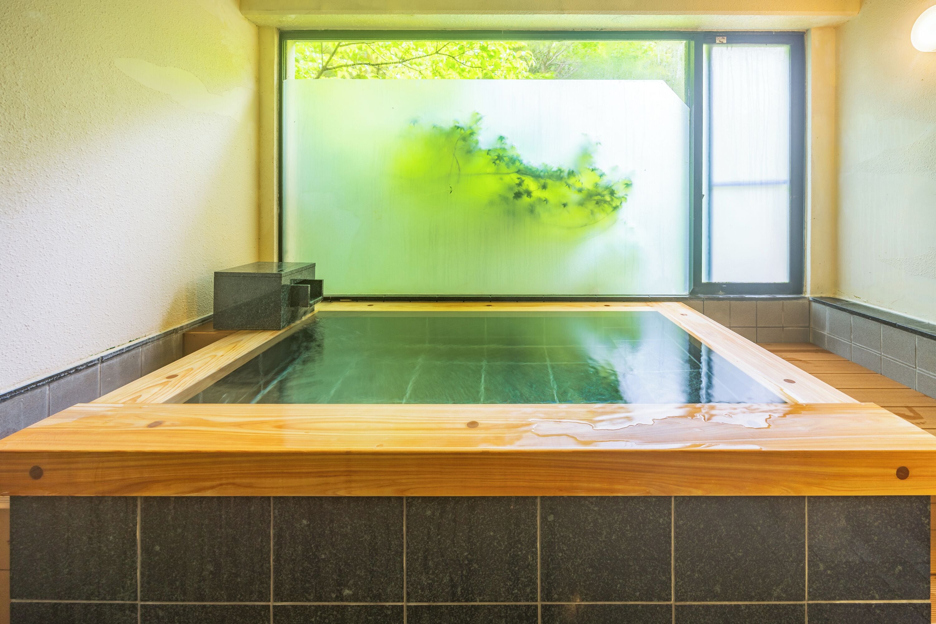 Foto - Yumoto Fujiya Hotel