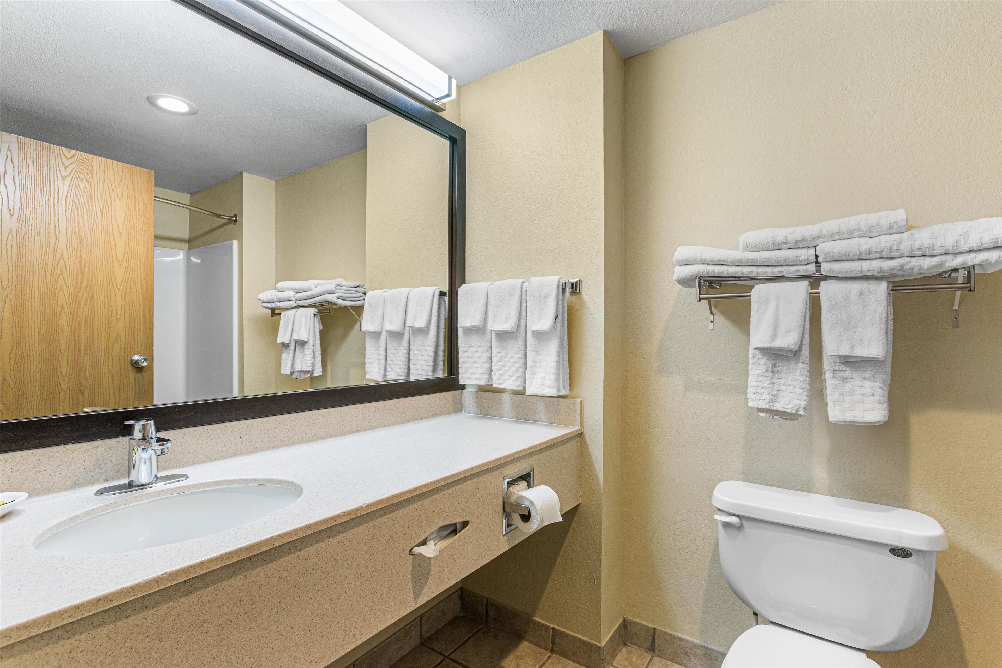 combined shower/bathtub, free toiletries, hair dryer, towels