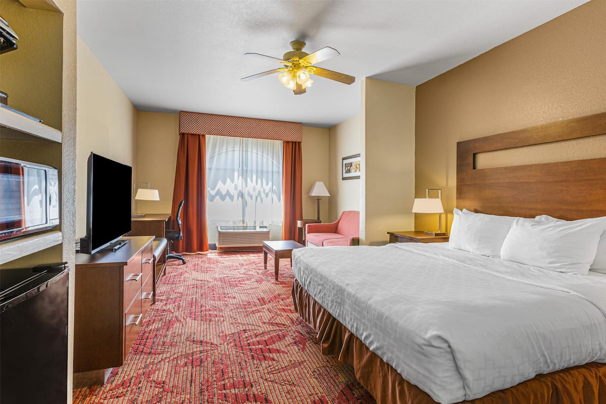 A hotel room with a bed, a desk, a television, a chair, and a ceiling fan.