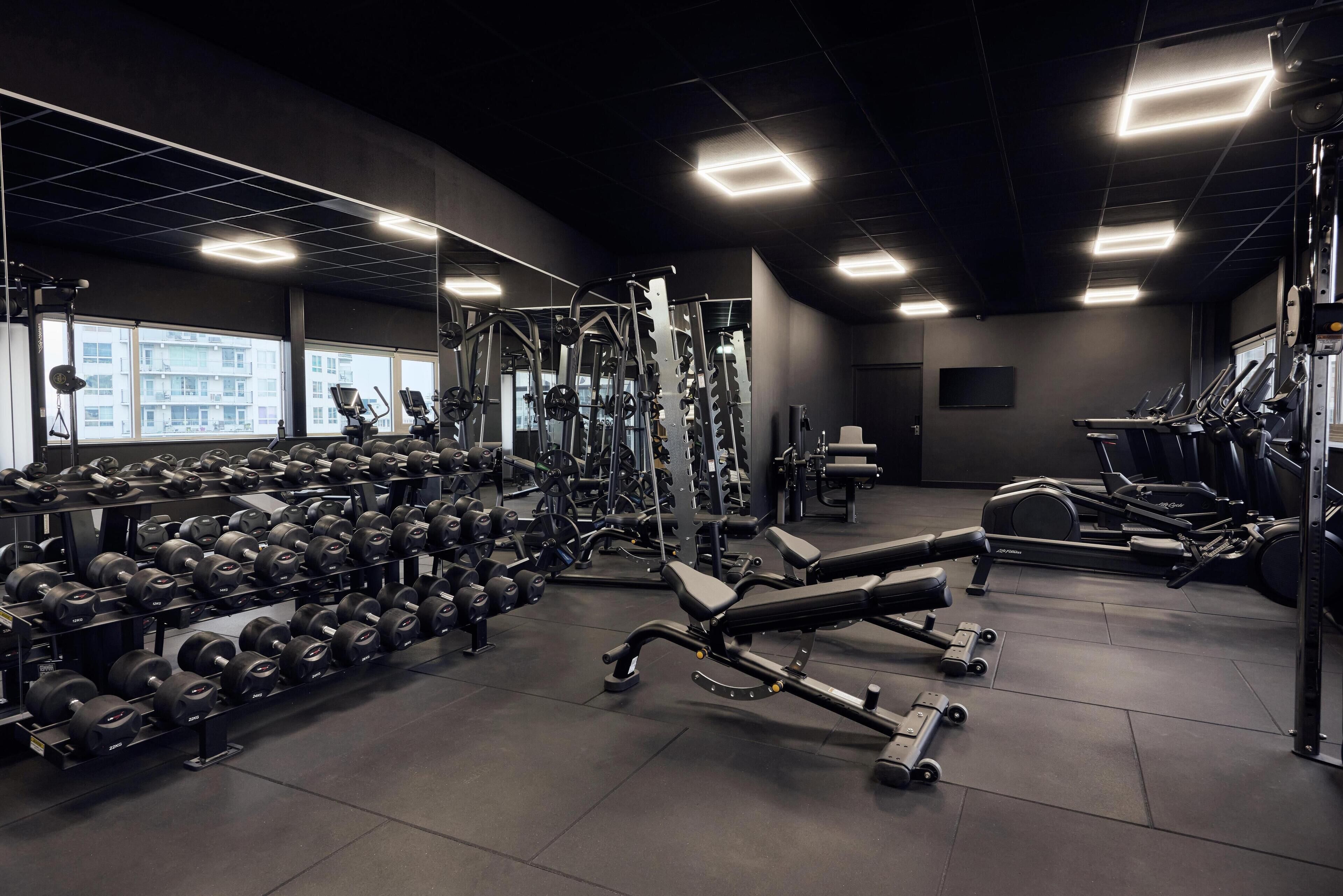Un gimnasio moderno con varios equipos de levantamiento de pesas, cintas de correr y mancuernas.