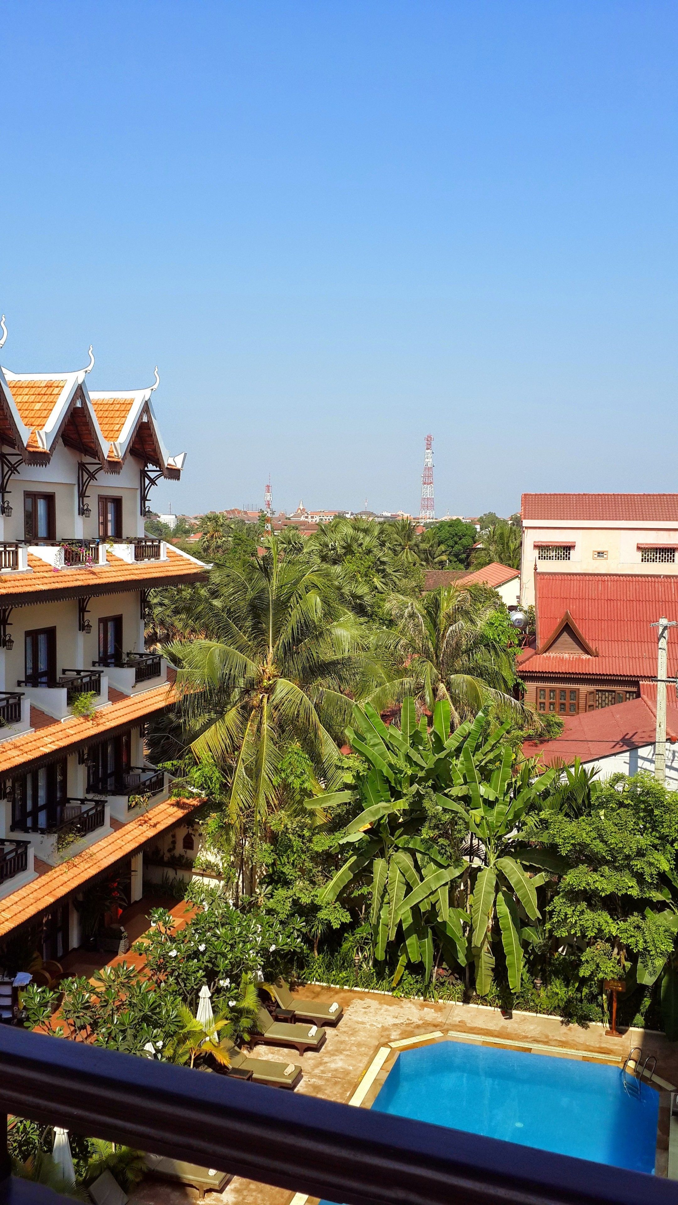 A hotel with a pool, surrounded by lush greenery and palm trees.