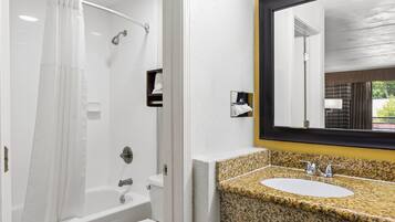 A bathroom with a shower, a toilet, a sink, and a mirror.