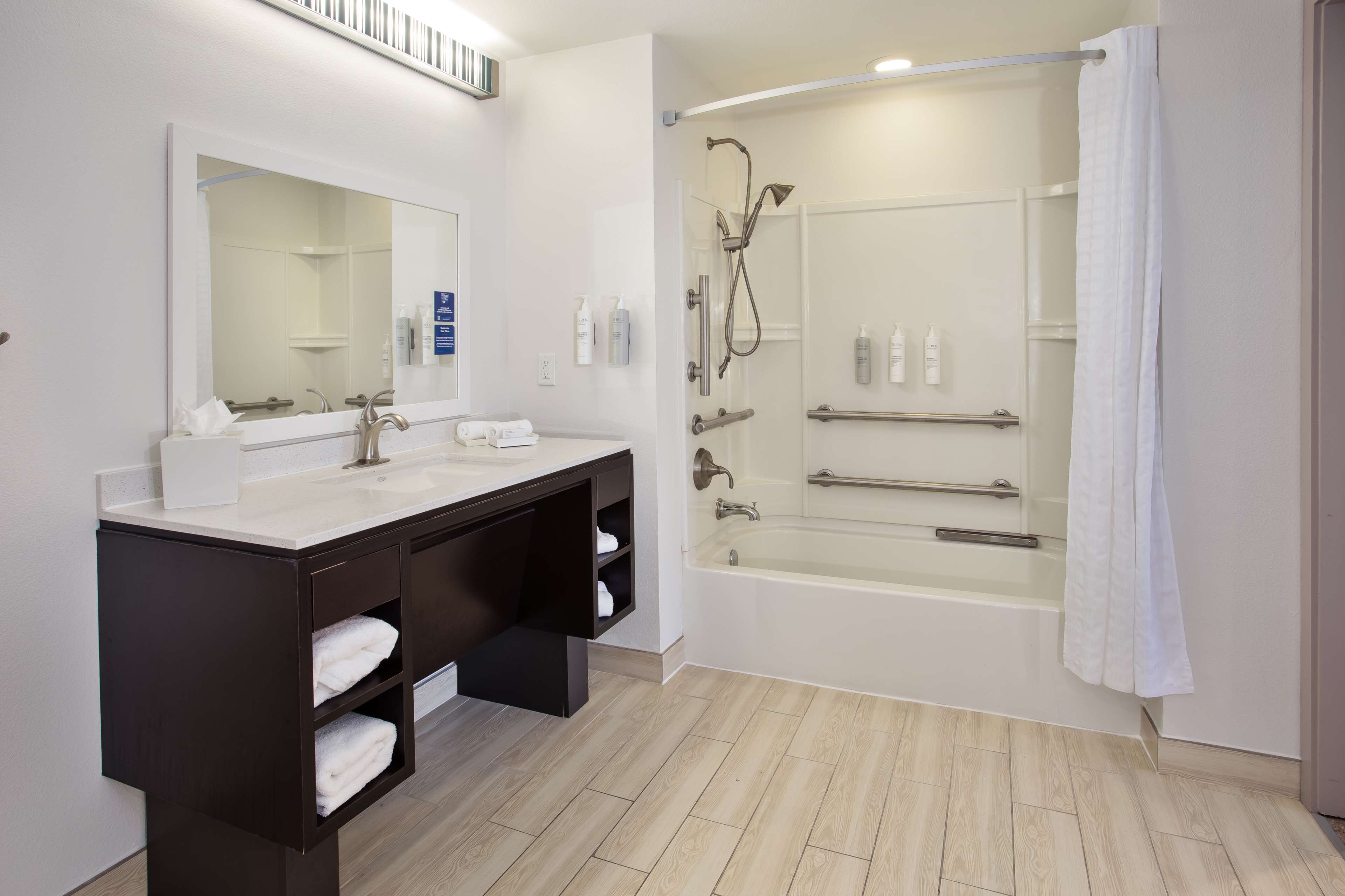 suite, 1 queen bed, accessible, bathtub | bathroom shower