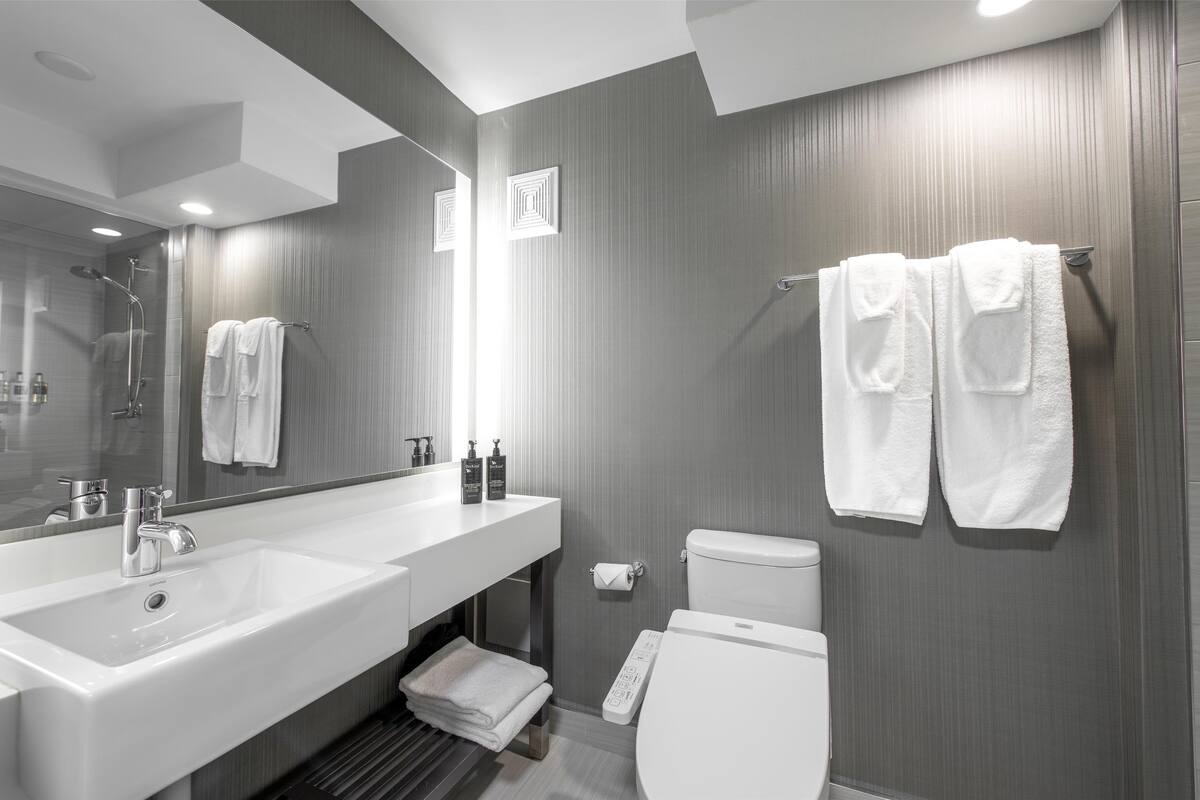 free toiletries, hair dryer, electronic bidet, towels