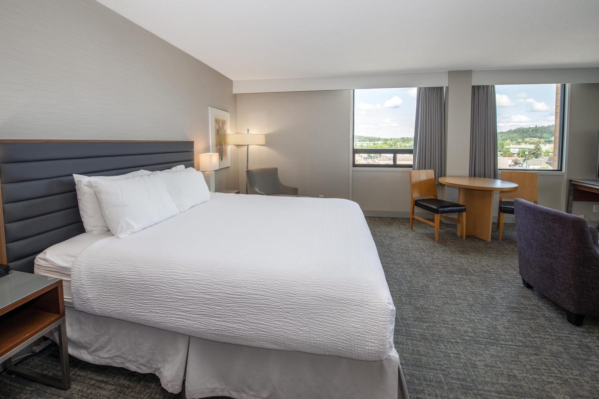 A hotel room with a large bed, a desk, a chair, a lamp, and a view of the outdoors.