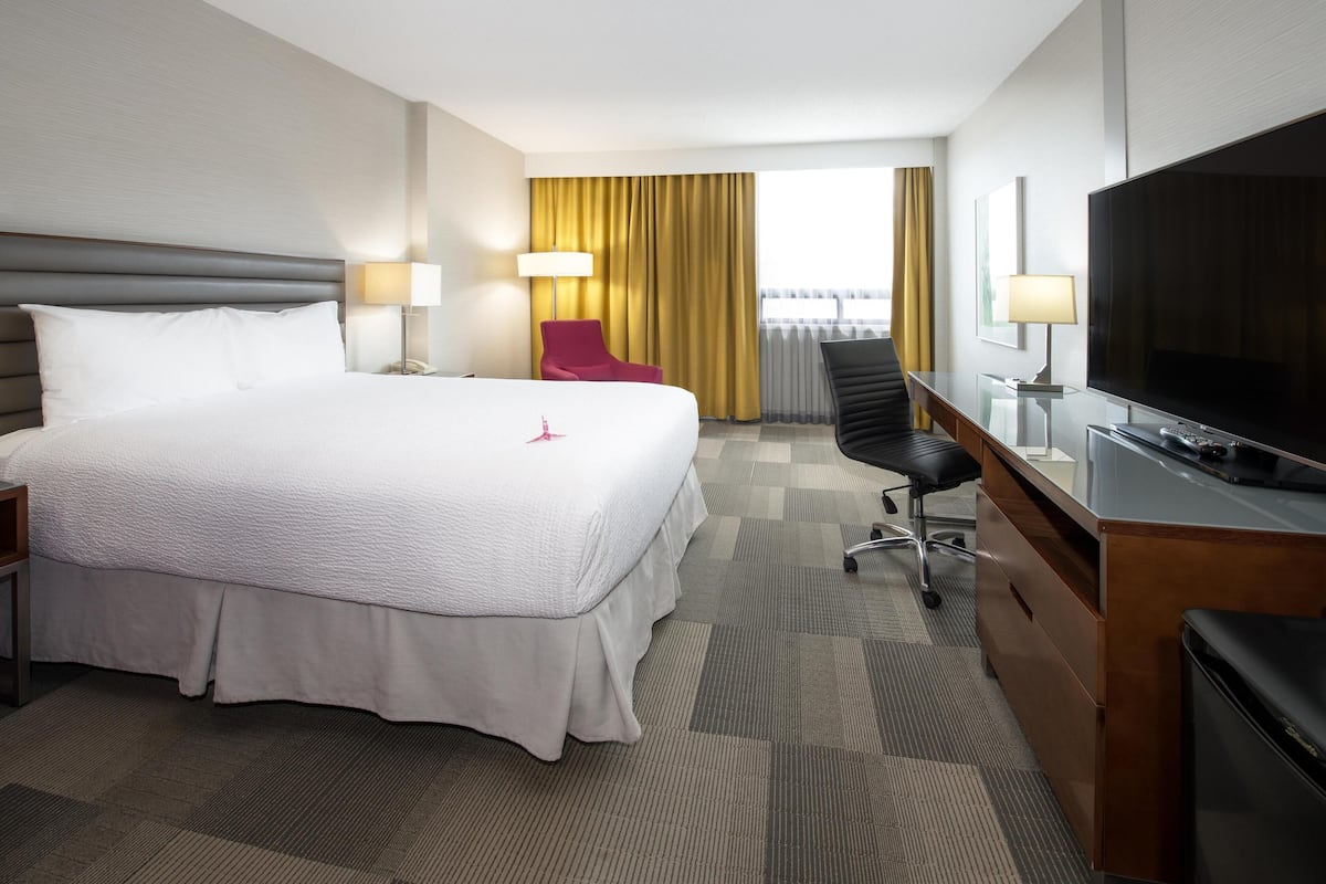 Zimmer, 1 Queen-Bett (Coast Queen - Not Pet Friendly)