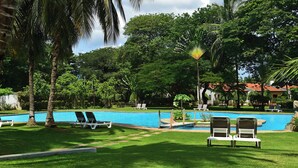 Zona de piscina con sillas de descanso, una palmera y un edificio al fondo.