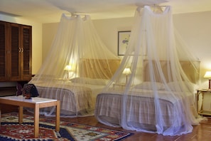 Suite junior | Minibar, caja fuerte, wifi gratis