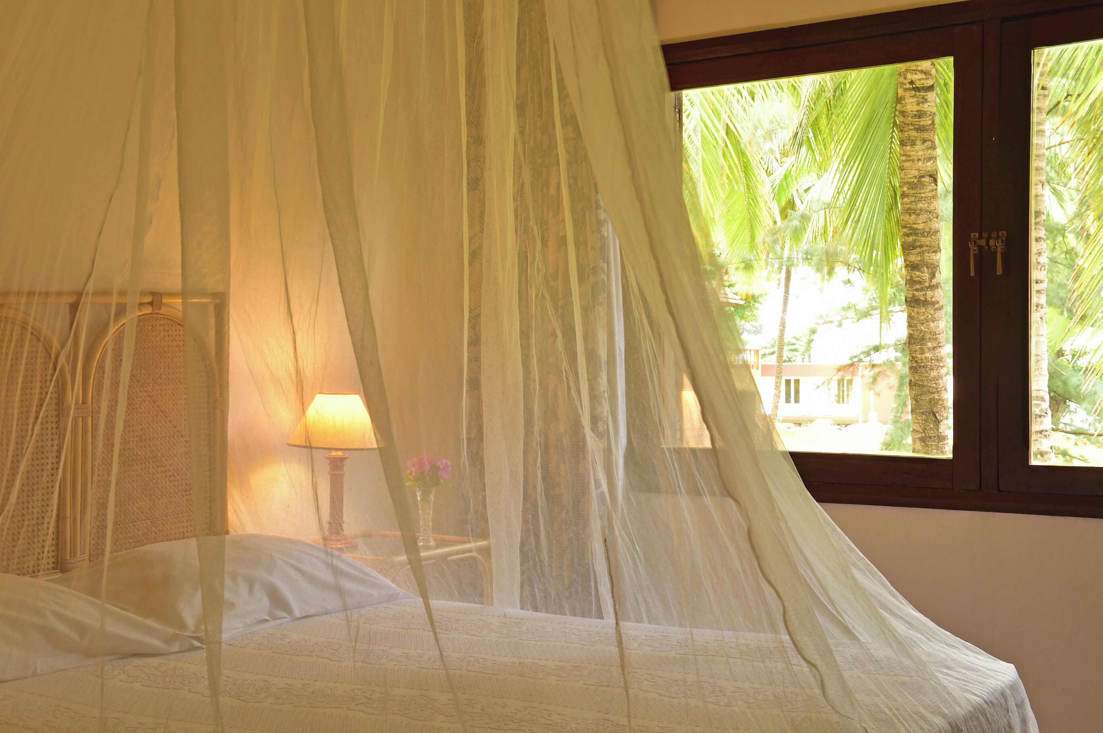 A bed with a canopy, a nightstand with a lamp, and a window with a view of palm trees.