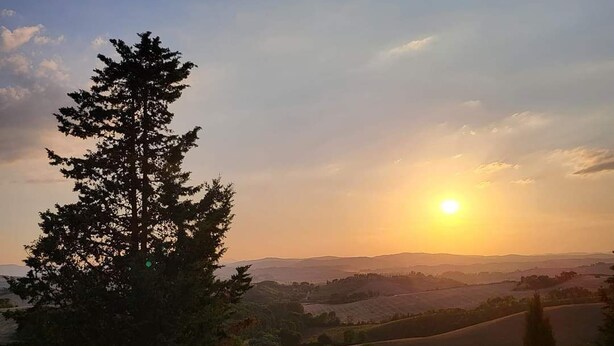 A pool with a wooden deck and lounge chairs, surrounded by trees and hills in the background. - Fattoria Pieve a Salti (Montalcino)