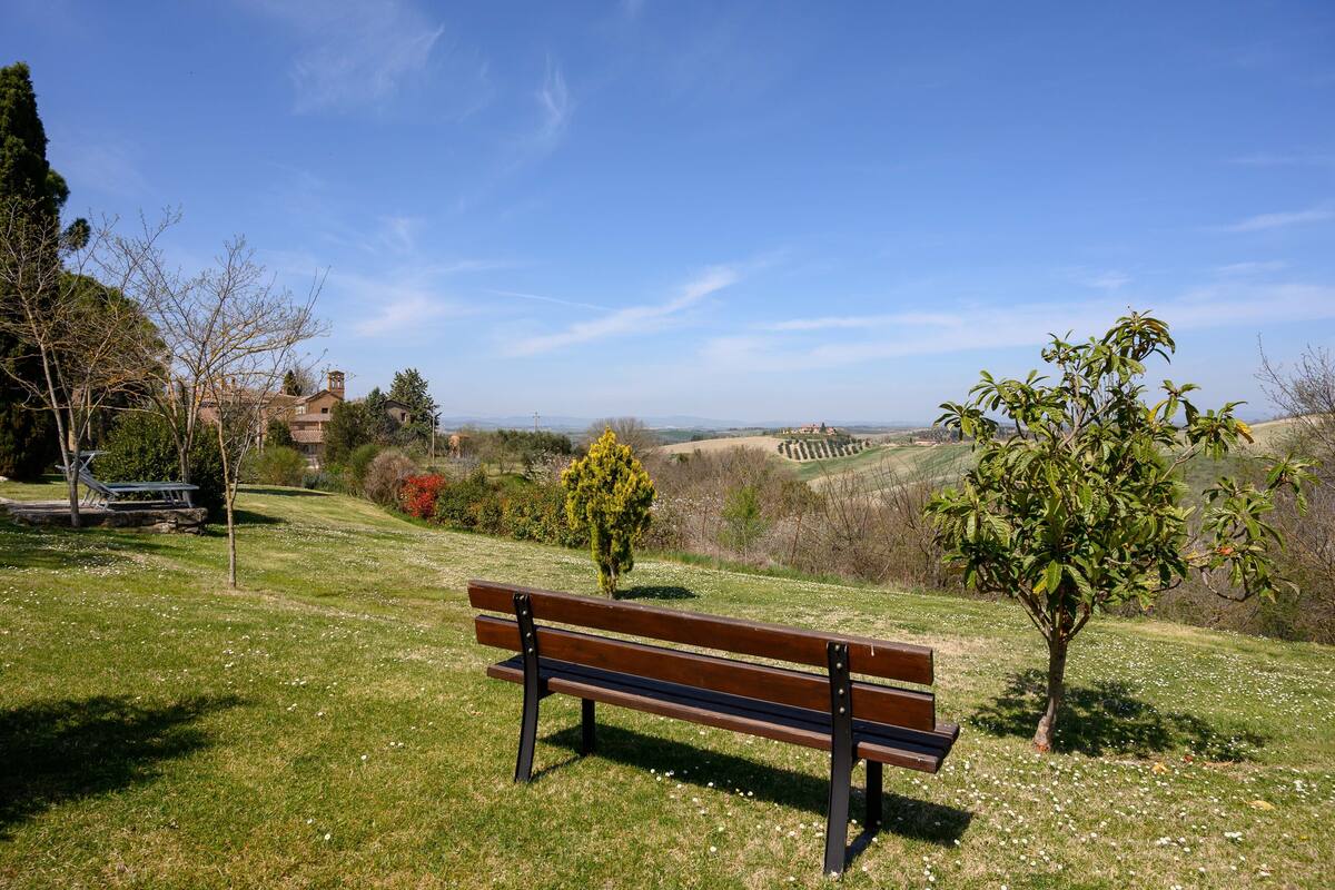 Un banc situé dans un espace verdoyant, offrant une vue sur un paysage lointain et des bâtiments.