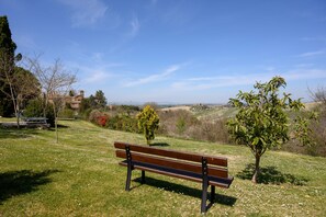 Desk, bed sheets - Fattoria Pieve a Salti (Montalcino)