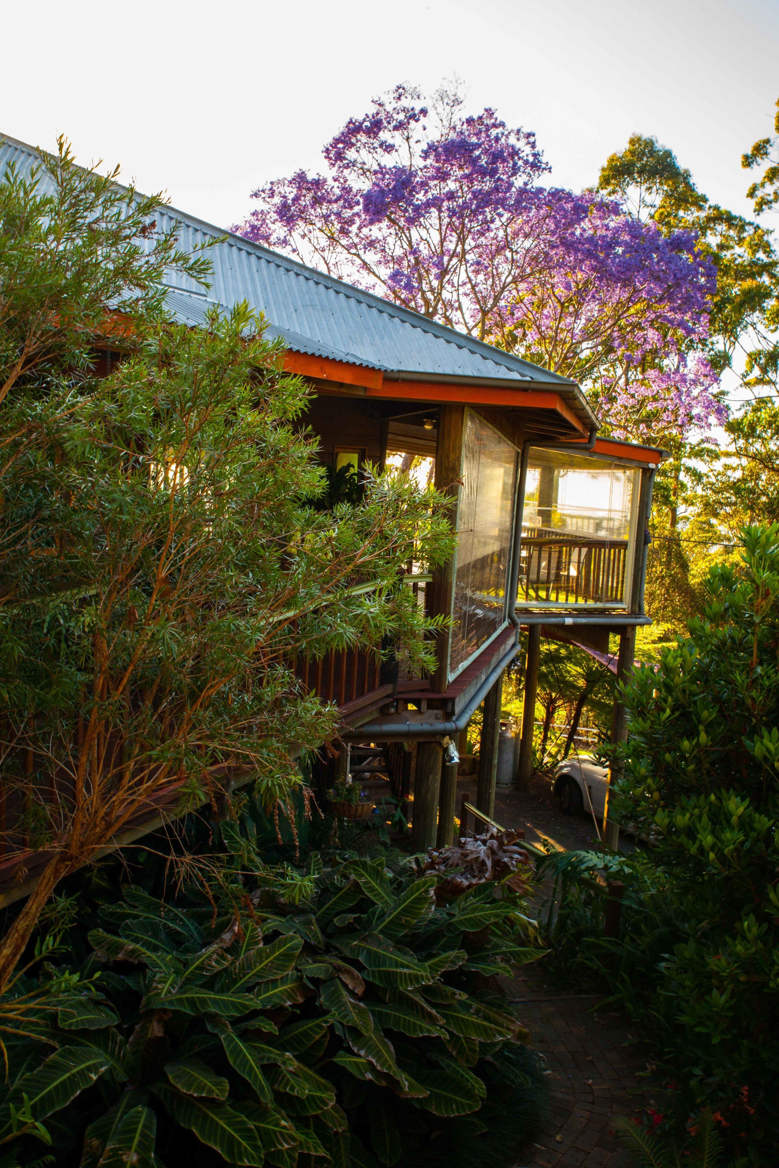A wooden house with a balcony, surrounded by lush greenery and purple flowers.