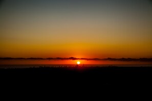 View from property - Tamborine Mountain B&B (Tamborine Mountain)