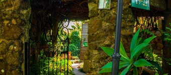 Tamborine Mountain B&B