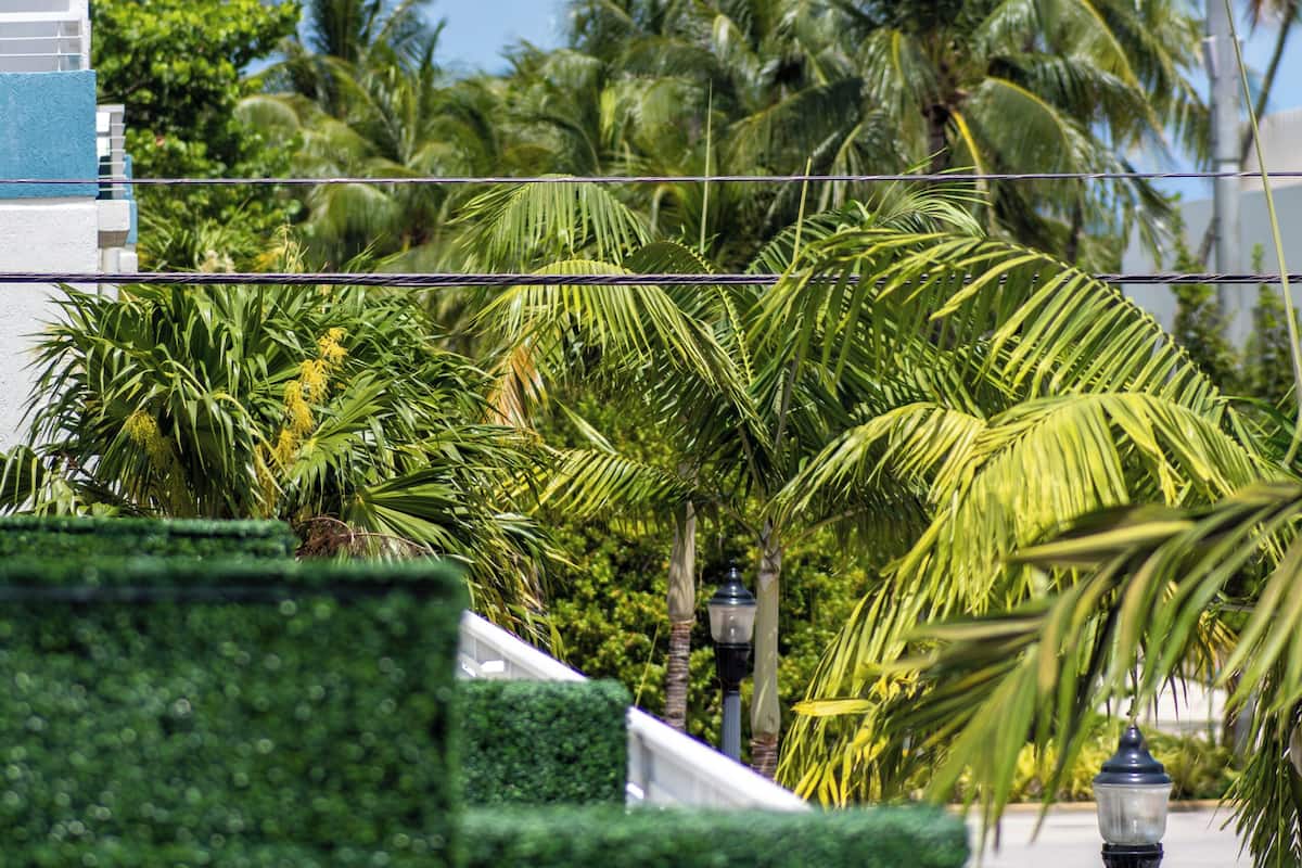 Studio Terrace | 1 habitación y caja de seguridad en la habitación