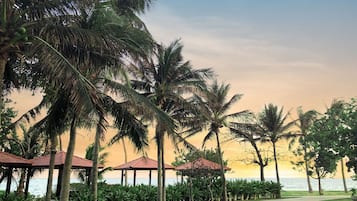 A pathway leading to beachside structures with palm trees and a view of the sea.