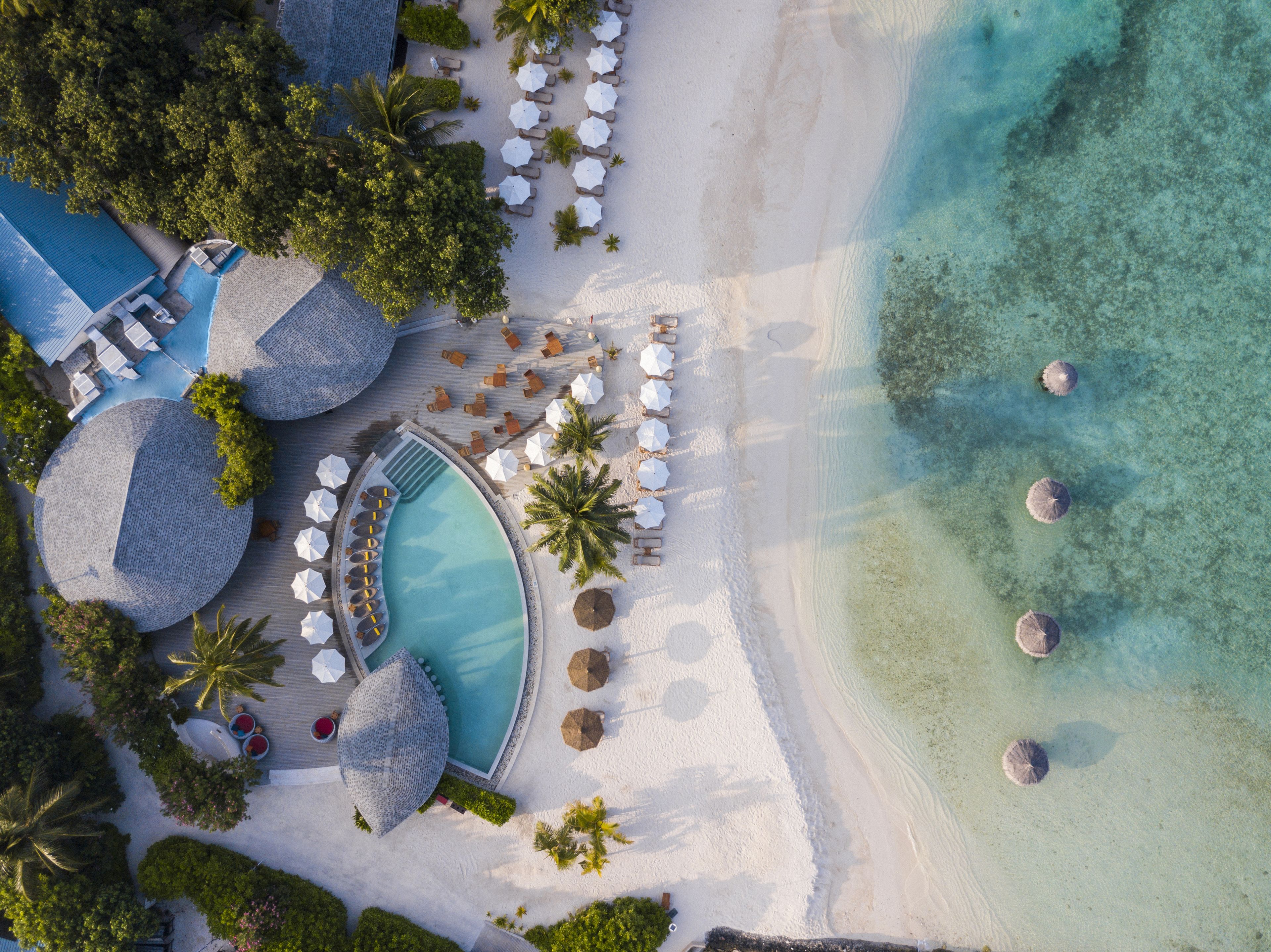 Vista aérea de un resort con piscina, tumbonas, sombrillas y palmeras.
