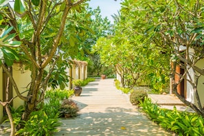 Khuôn viên nơi lưu trú