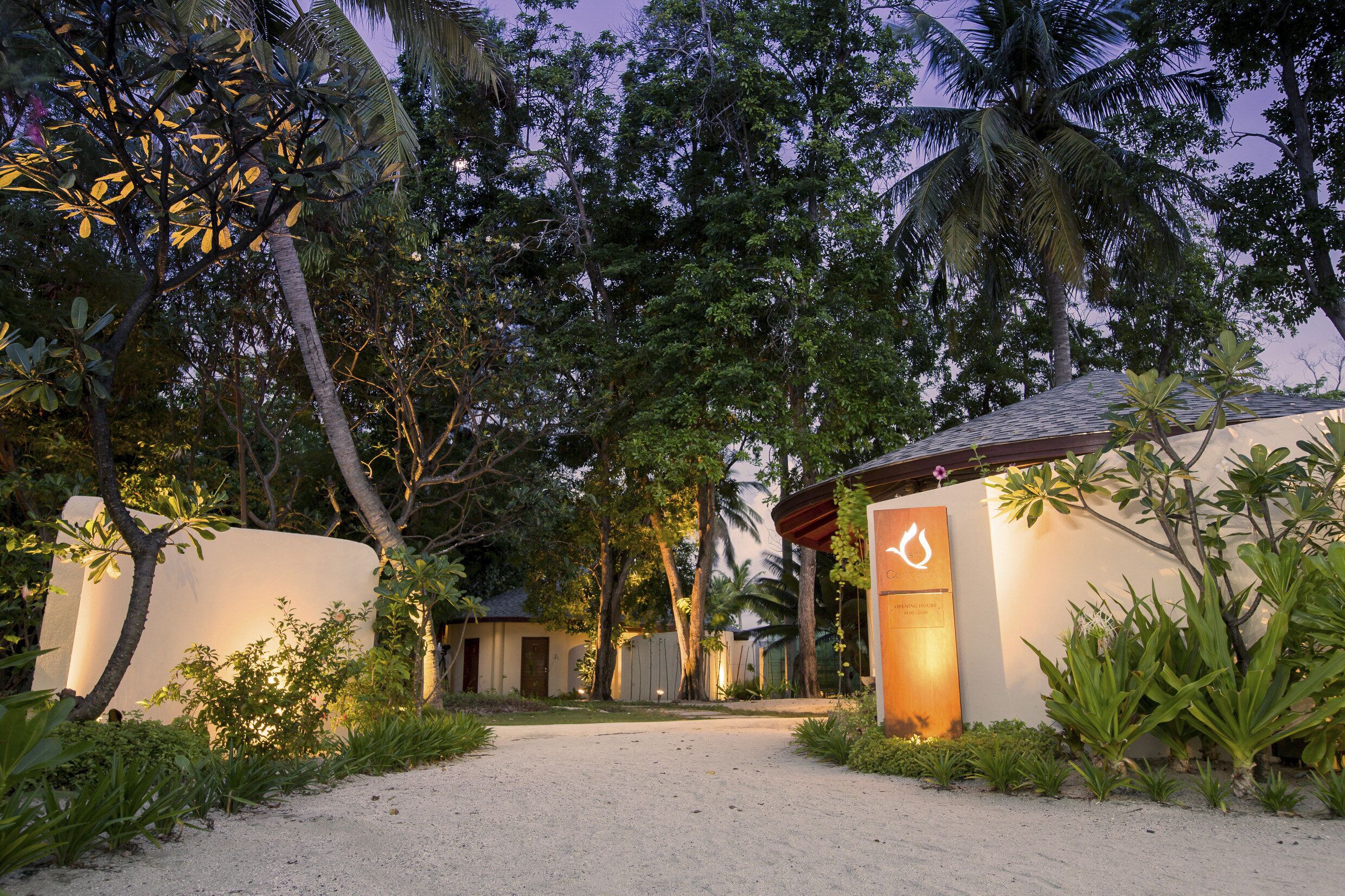 A pathway leading to a building with a sign, surrounded by lush greenery and palm trees.