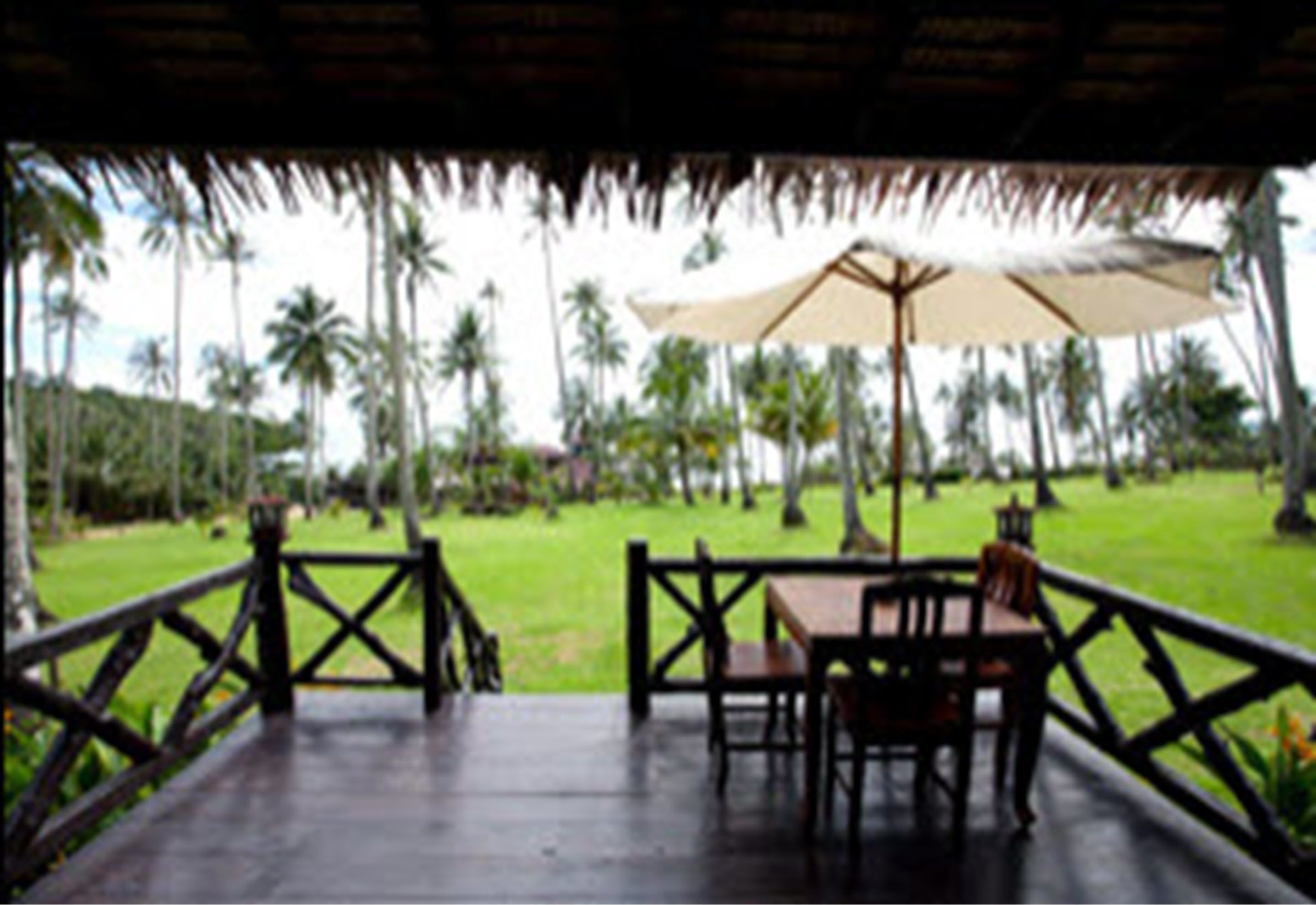 A covered outdoor area with a table and chairs, a thatched roof, and a view of palm trees.