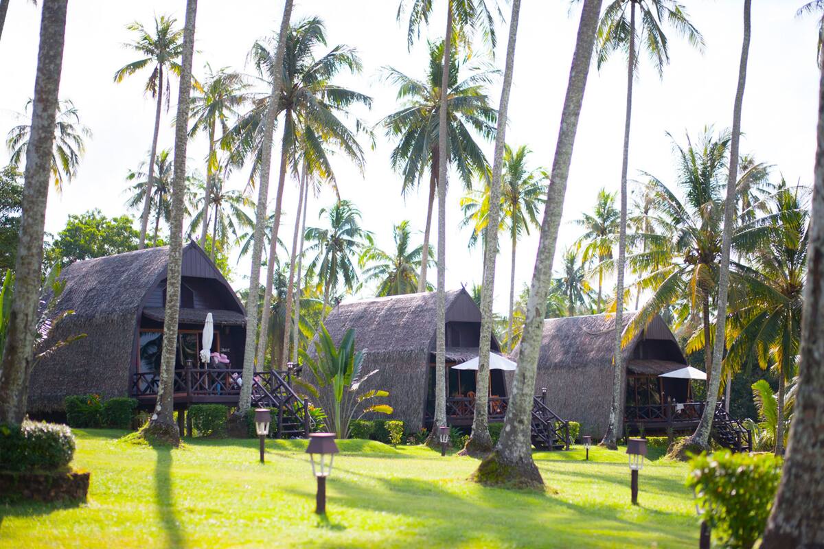 Un complexe hôtelier doté de bungalows aux toits de chaume, entourés de palmiers.