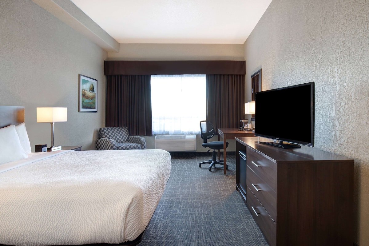 Standard Room, 1 King Bed, Non Smoking | Desk, laptop workspace, blackout curtains, iron/ironing board