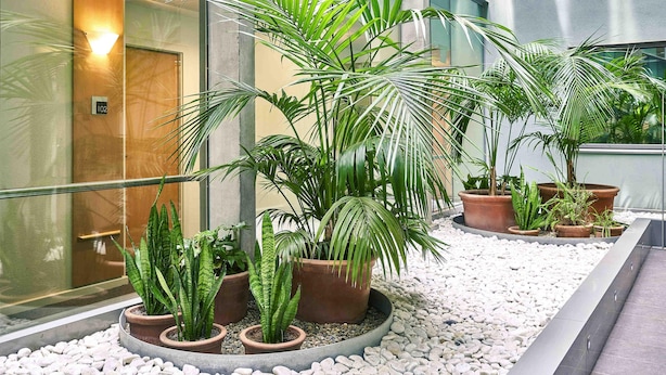 Un jardin intérieur moderne, avec des plantes en pot et un chemin bordé de galets.