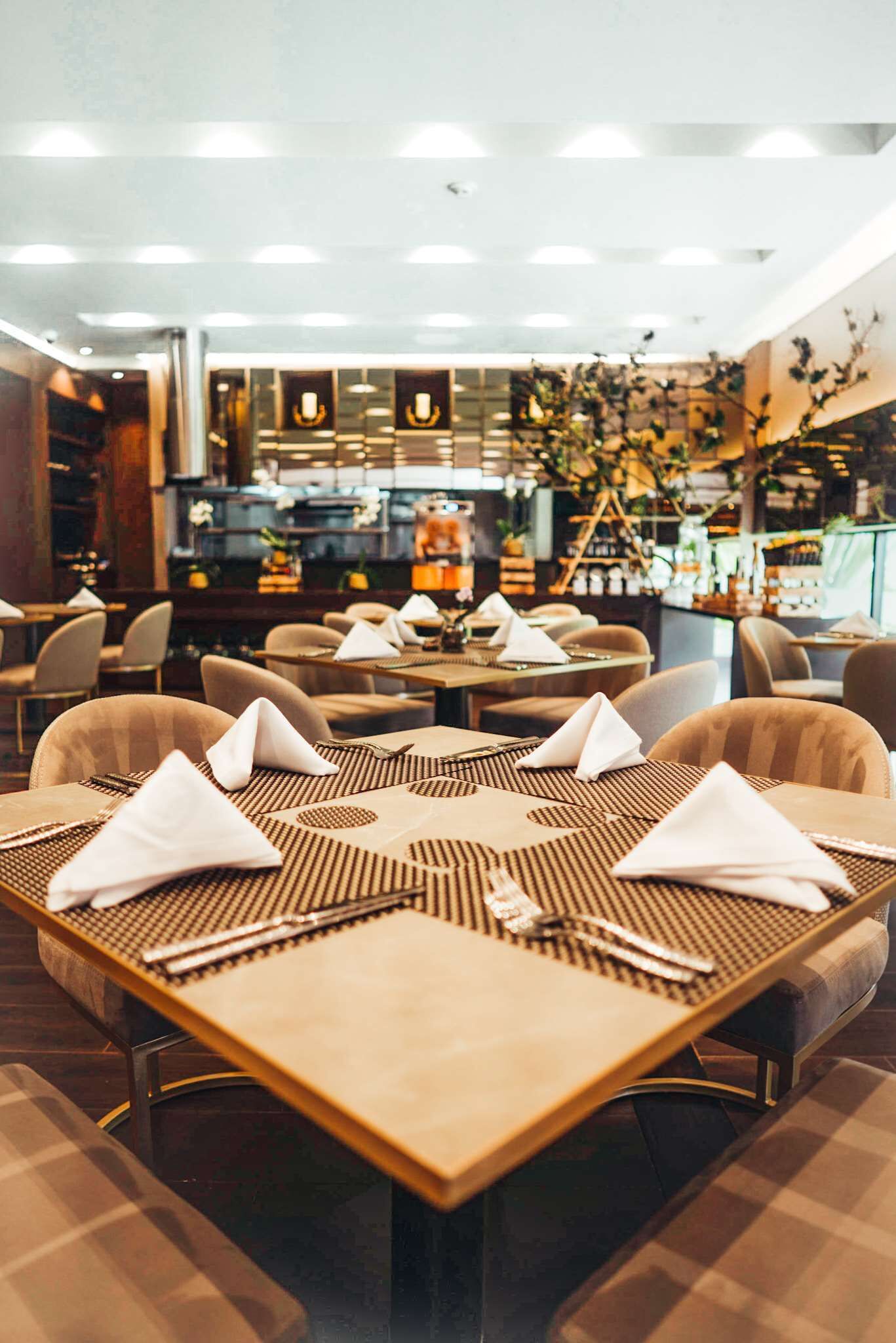 A restaurant with tables set with white napkins and placemats, chairs, and a kitchen in the background.