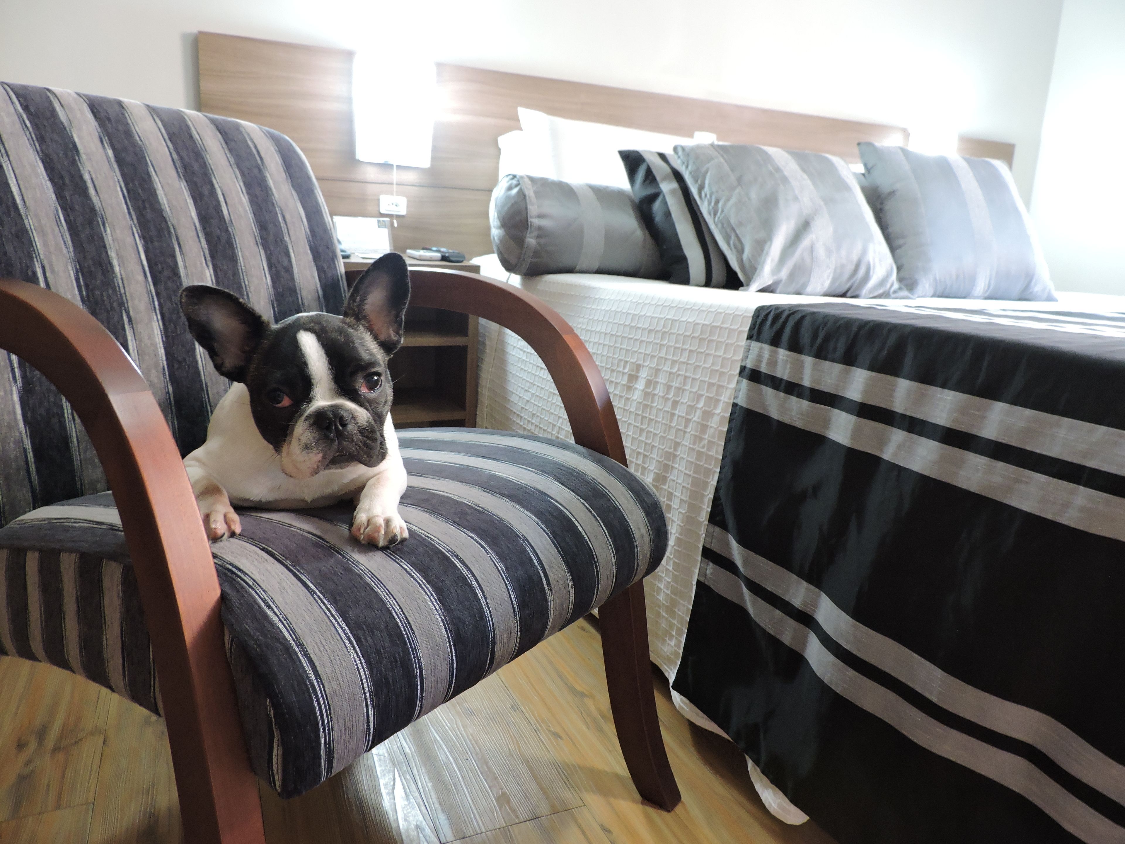 Una habitación con una silla a rayas, una cama con cubrecama a rayas y un cabecero de madera.