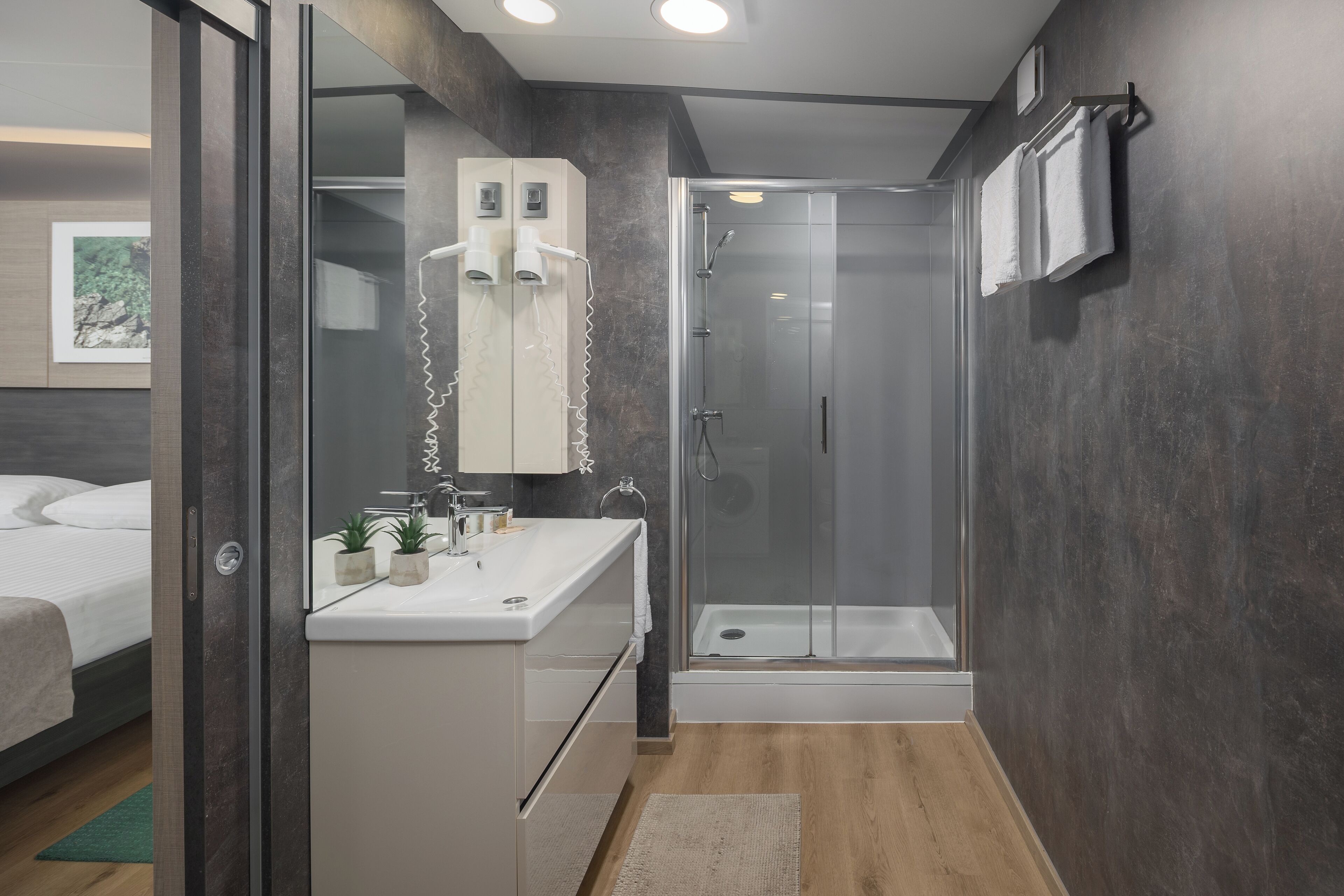 A modern bathroom with a glass shower enclosure, a white vanity with a mirror, and a bed in the adjacent room.