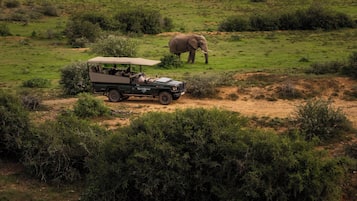 Game drive