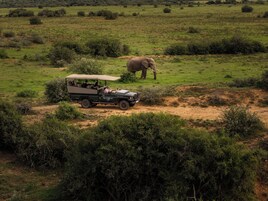 Un vehículo safari con capota circulando por un campo de hierba con un elefante a lo lejos.