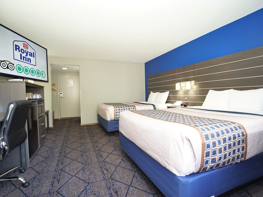 Ameublement personnalisé, bureau, rideaux occultants