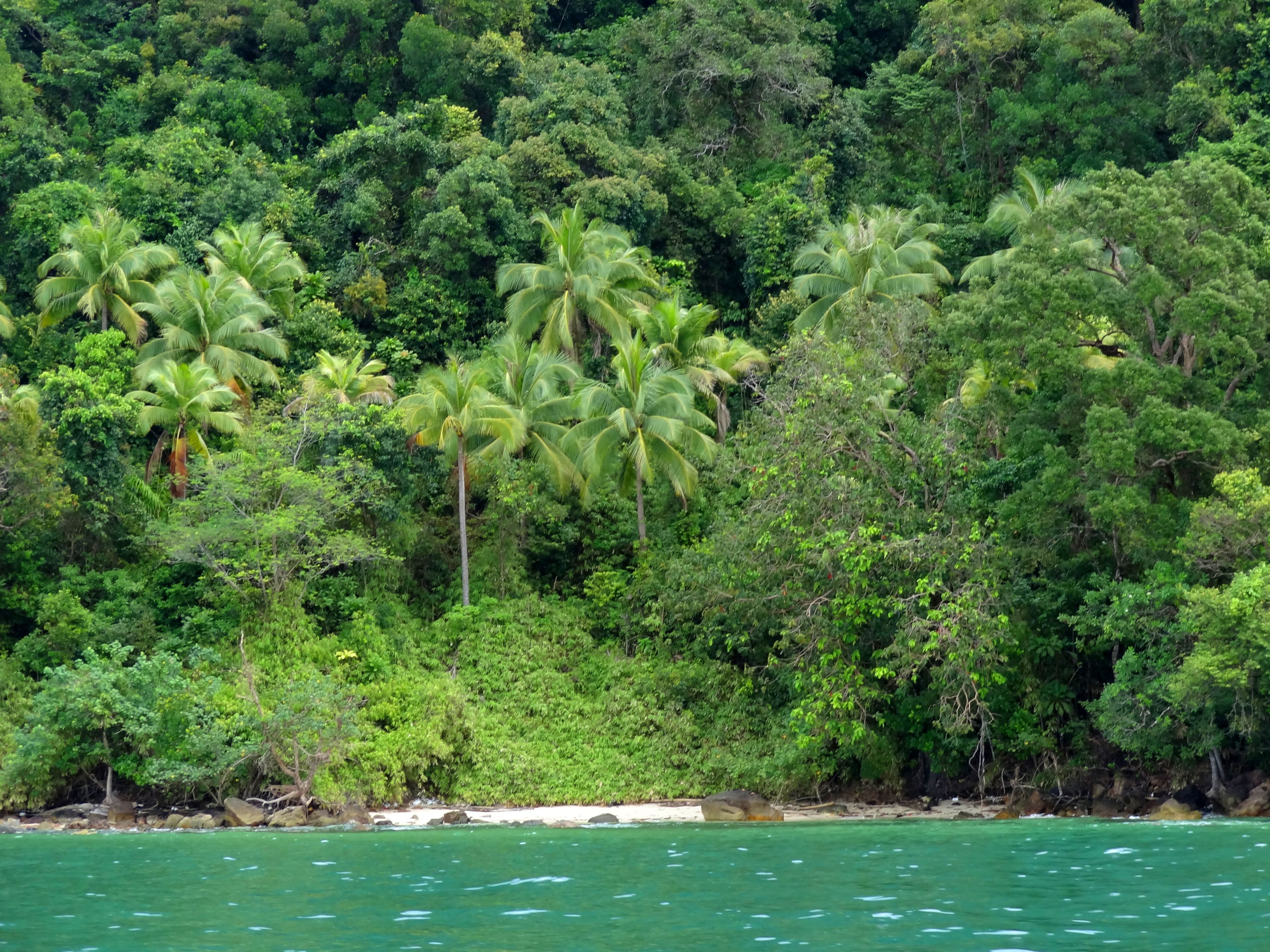 private beach, white sand, free beach cabanas, sun-loungers