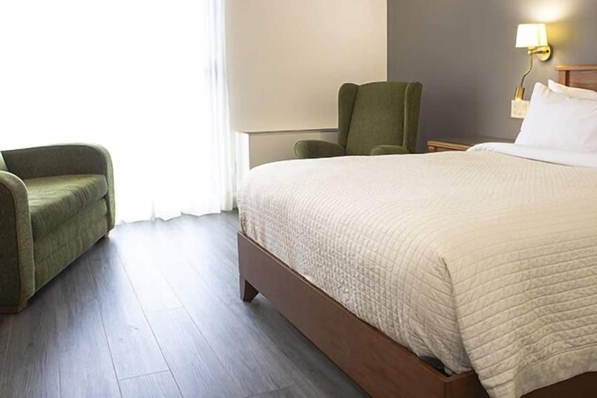 Chambre Ăcono-Confort, 1 lit Queen et canapĂ©-lit simple, bain/douche | Bureau, espace de travail pour ordinateur portable, rideaux occultants
