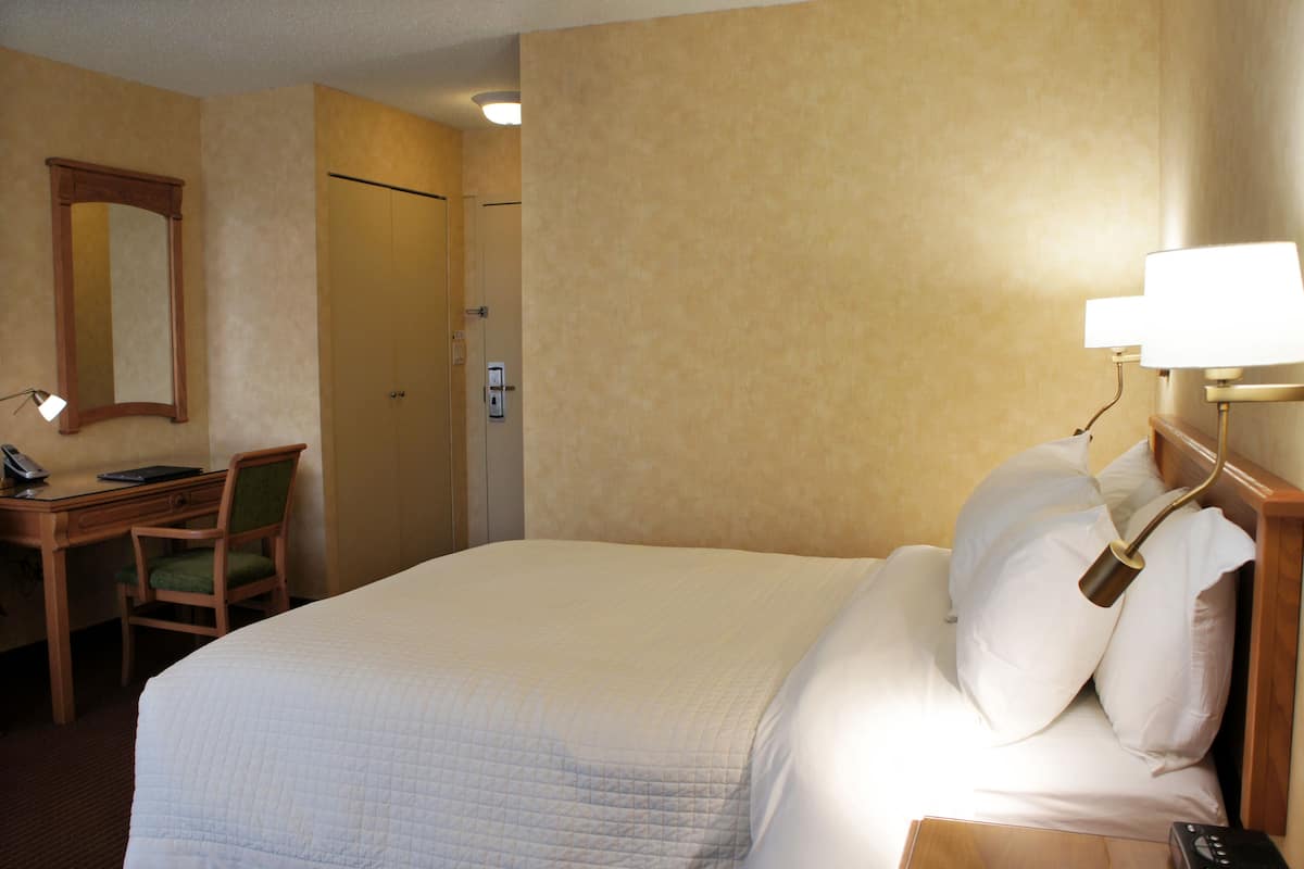 Econo-comfort room, 1 queen-size bed and a single sofa-bed, shower/bath