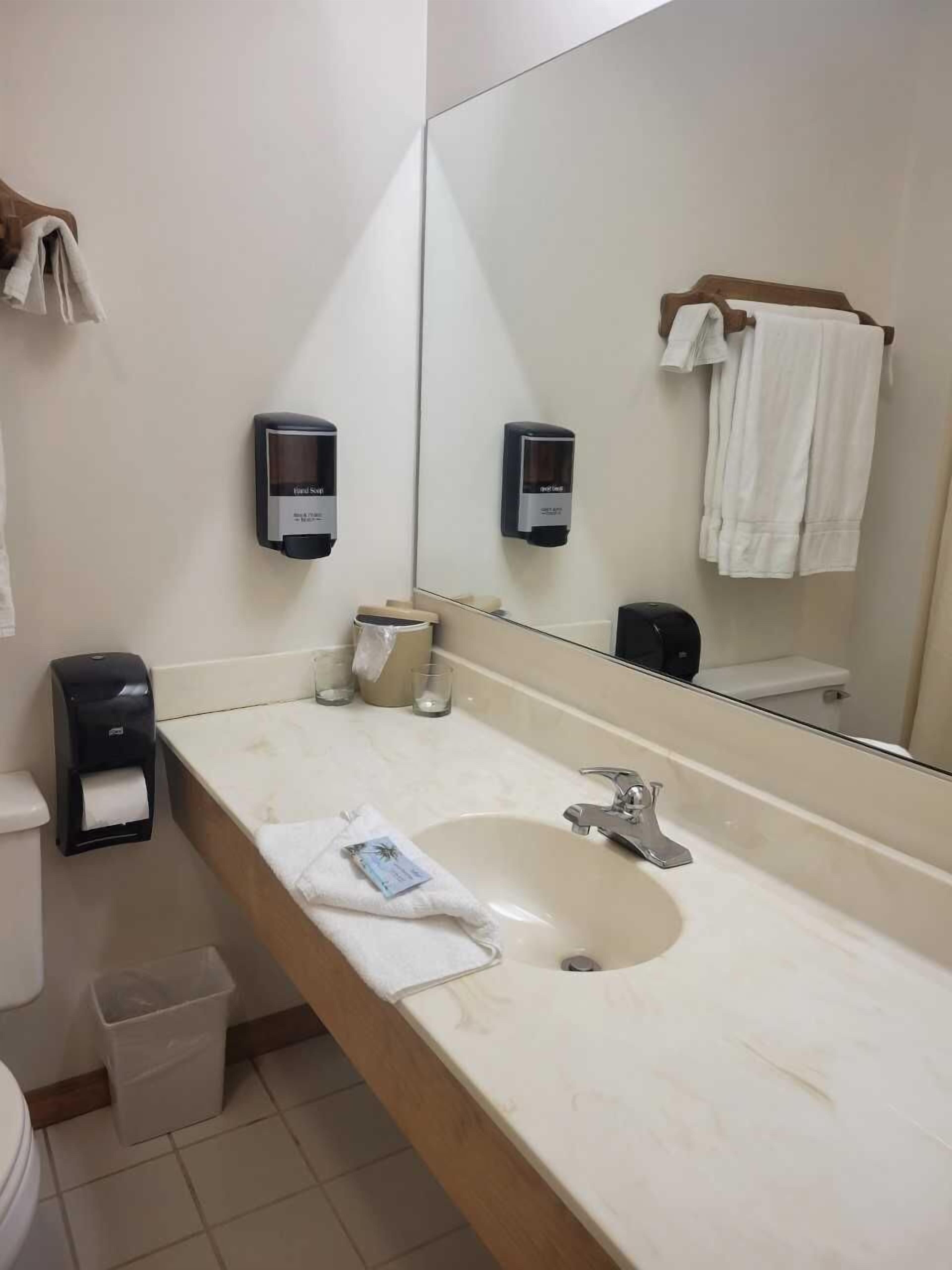 standard room, 1 queen bed with sofa bed | bathroom | free toiletries, hair dryer, towels