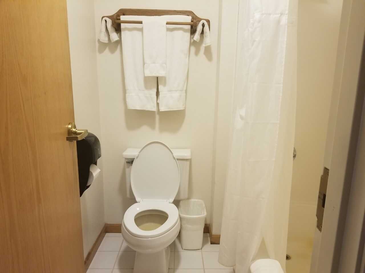 deluxe room, 1 queen bed, jetted tub | bathroom | free toiletries, hair dryer, towels