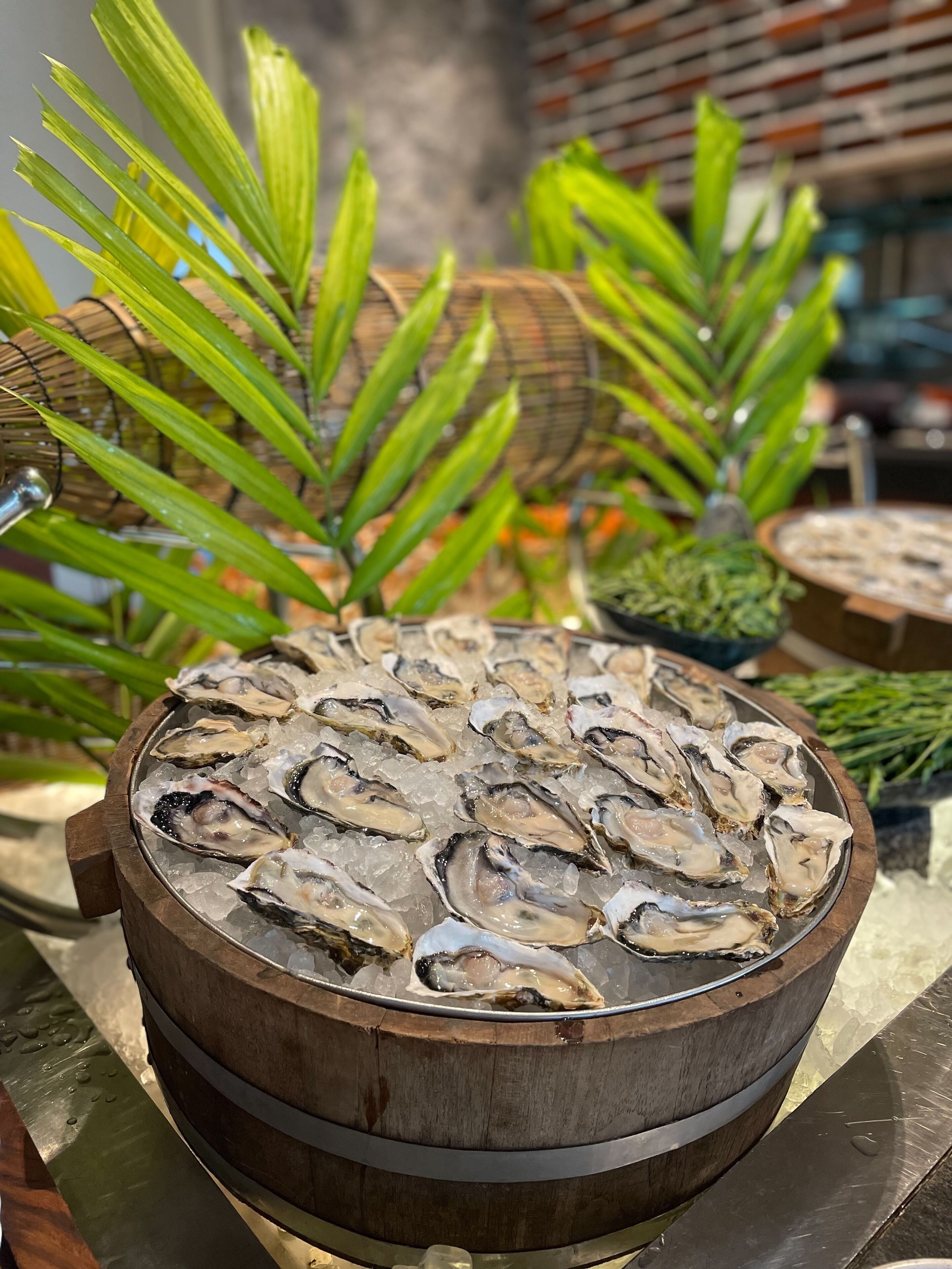 A wooden barrel filled with oysters on ice, surrounded by green plants.
