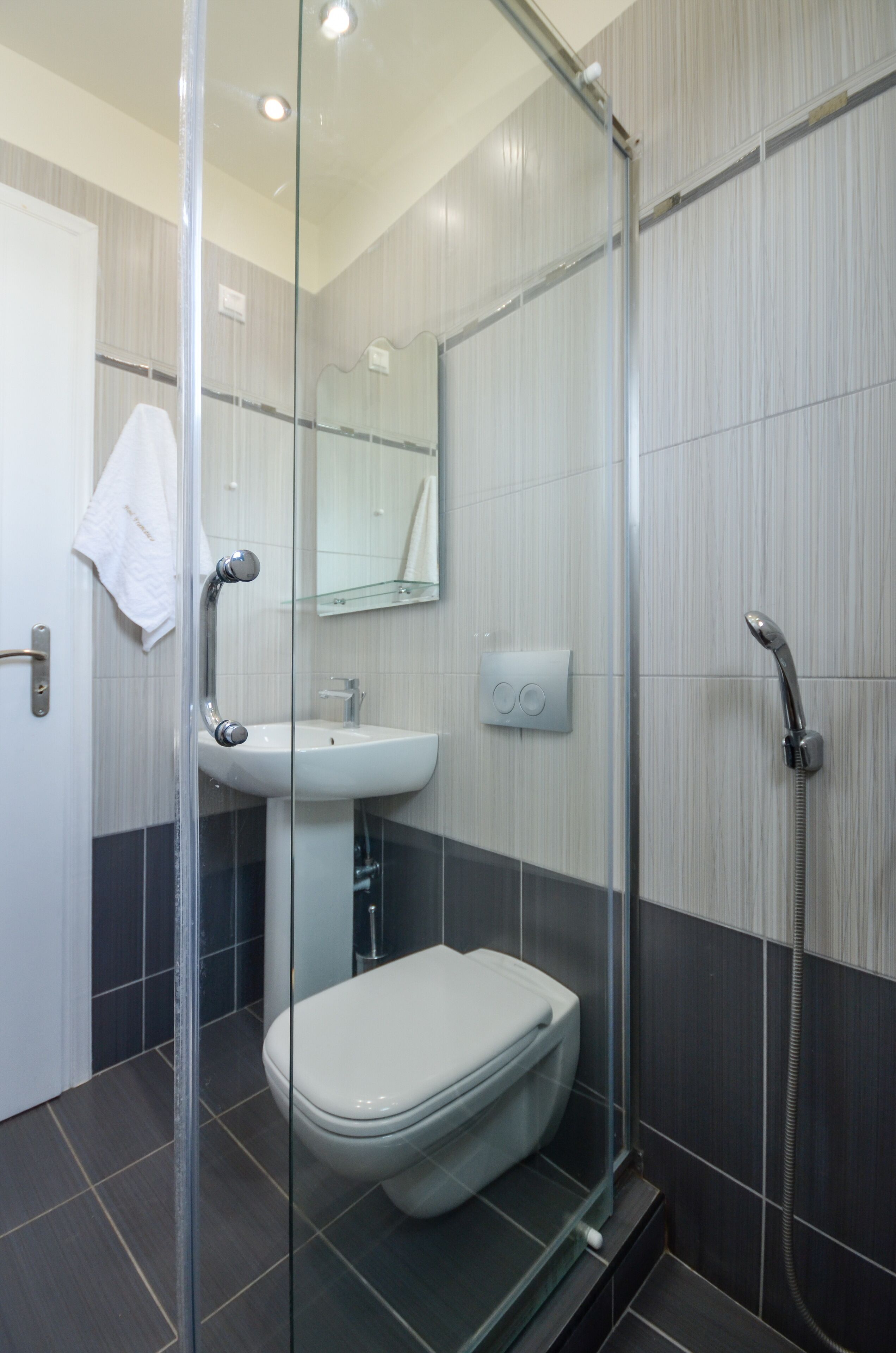 A modern bathroom with a glass-enclosed shower, a white toilet, a sink, and a mirror.
