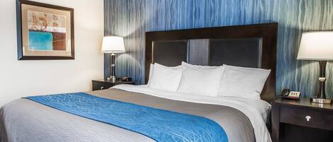 Habitación de hotel con una cama grande, una mesita de noche con lámpara y un cuadro en la pared.
