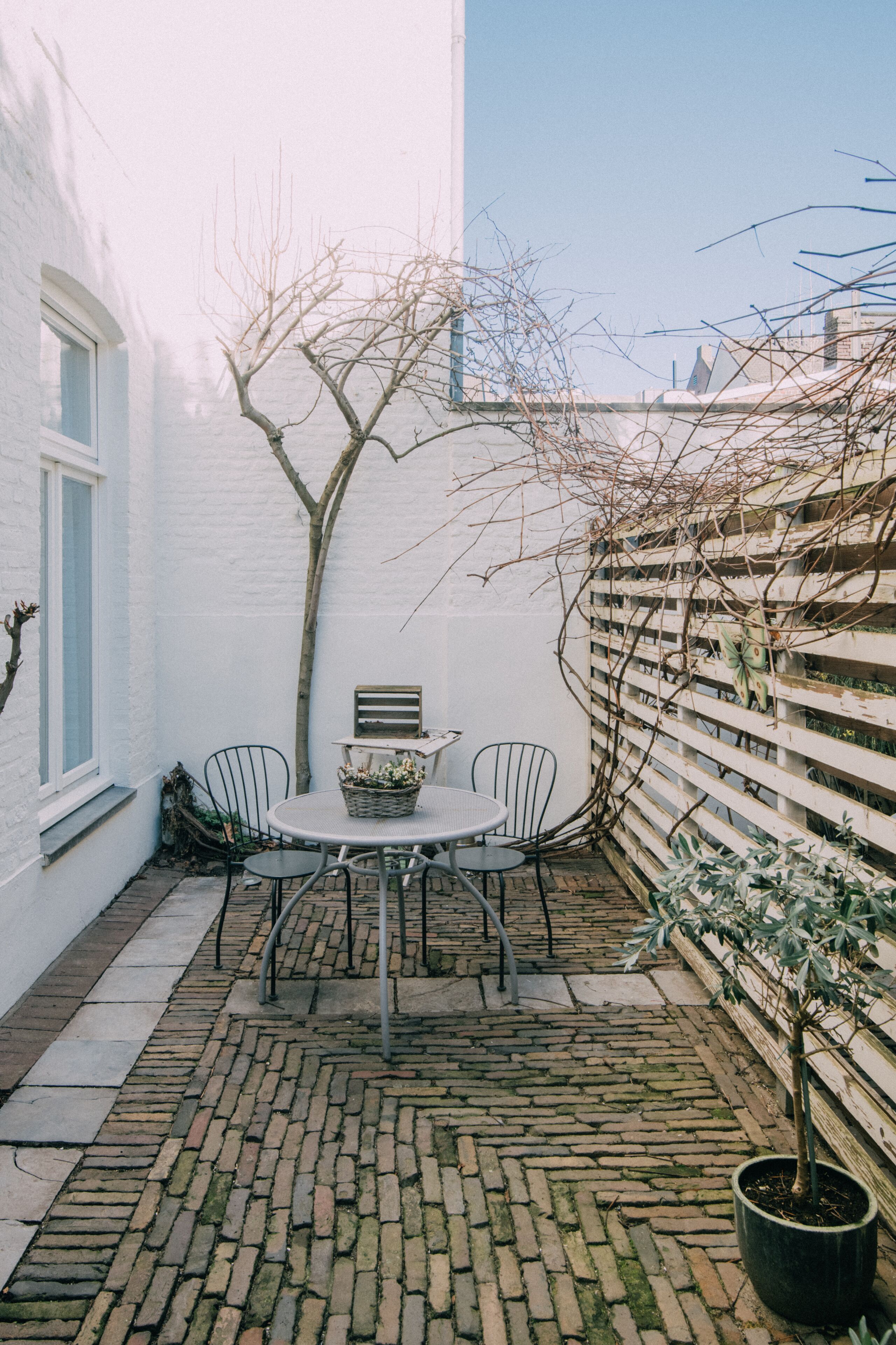 deluxe double room | terrace/patio